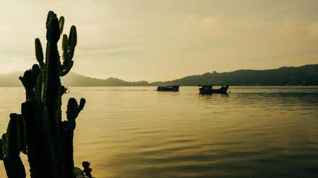 Lagoa Nomade Hostel フロリアノポリス エクステリア 写真